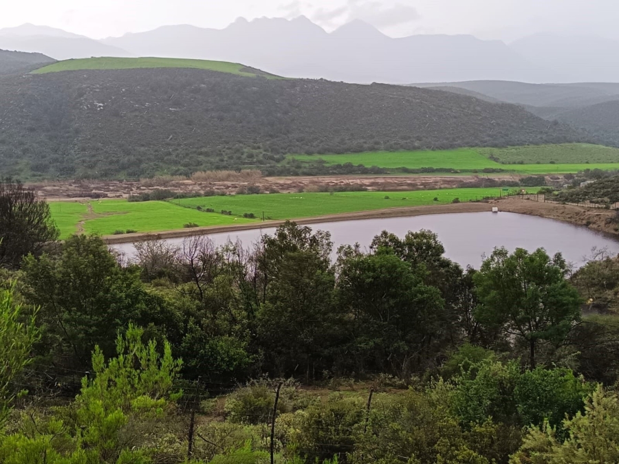 Commercial Property for Sale in George Rural Western Cape